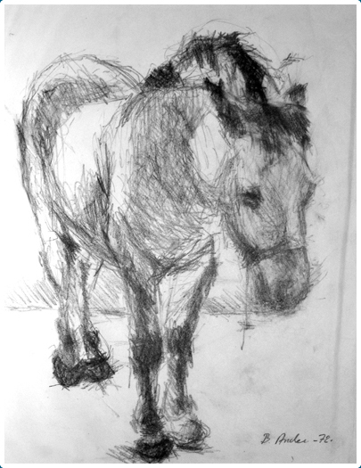 Häststudie © Bengt Ander